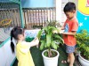 HOẠT ĐỘNG VUI CHƠI LỚP A3