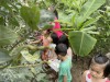 HOẠT ĐỘNG NGOÀI TRỜI CỦA TRẺ