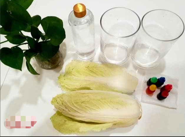 CÔ TRÒ CÙNG CHỐNG DỊCH