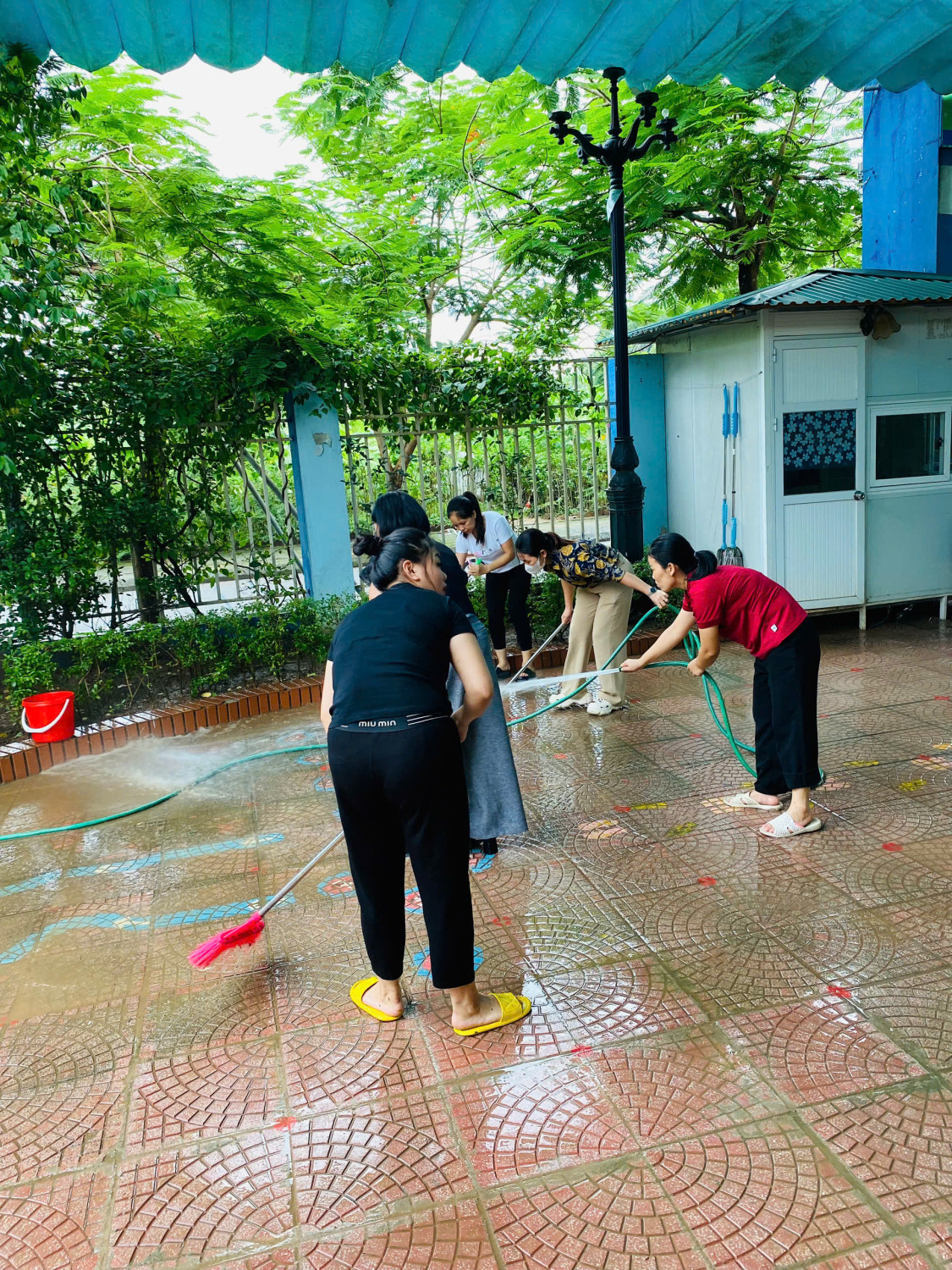 z6833349000311 c109a499dae9e5cbd0c00a6247ac0e22