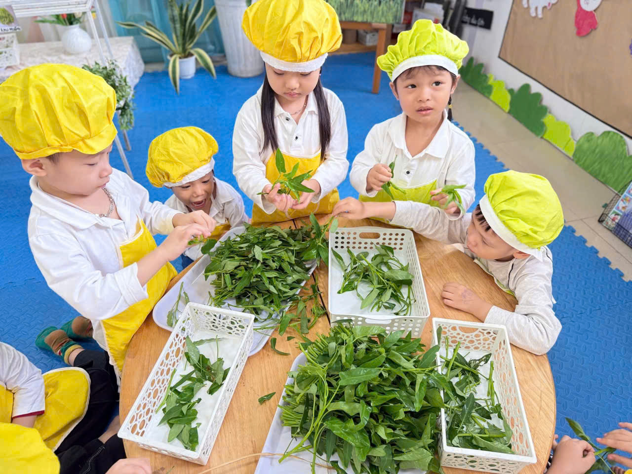 z7246249617830 5b593a0b20cda4e56e31d30e66619239